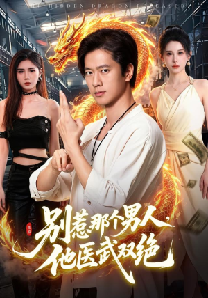 别惹那个男人，他医武双绝（109集）最热短剧推荐