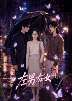 左男右女(63集) 左男右女(63集)全部免费看全集