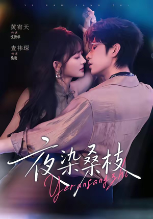 夜染桑枝(73集) 夜染桑枝(73集)精彩短剧后续