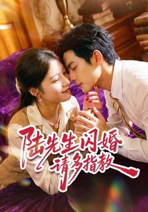 陆先生闪婚请多指教（53集）精彩短剧天天看