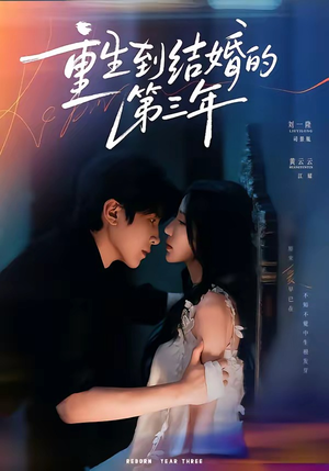 重生到结婚的第三年(73集) 重生到结婚的第三年(73集)好看的短剧分享