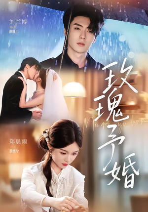 玫瑰予婚(68集) 玫瑰予婚(68集)精彩不断免费看