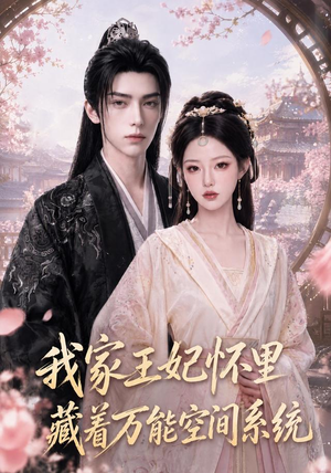 我家王妃怀里藏着万能空间系统（134集）评价怎么样