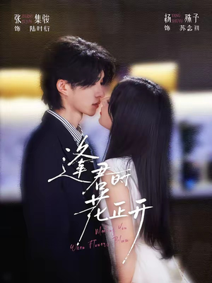 逢君时花正开（72集）口碑之选免费看