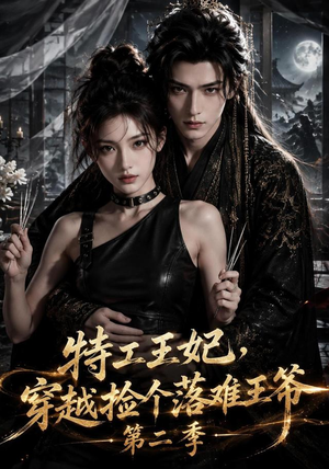 特工王妃，穿越捡个落难王爷第二季（164集）第三季
