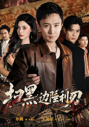 扫黑：边陲利刃（73集）全部免费看全集
