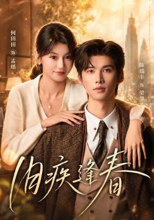 旧疾逢春（67集）小短剧抢先看