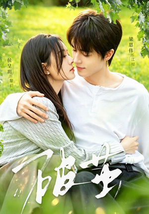 破茧（76集）高清画质免费看