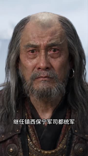 持械入宋:第四季(100集) 持械入宋:第四季(100集)短剧推荐来了