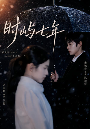 时屿七年（61集）免费看全集
