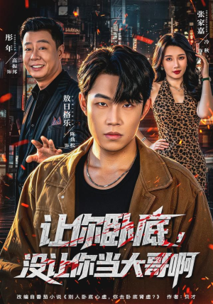 让你卧底,没让你当大哥啊(80 集) 让你卧底,没让你当大哥啊(80 集)西瓜短剧免费看