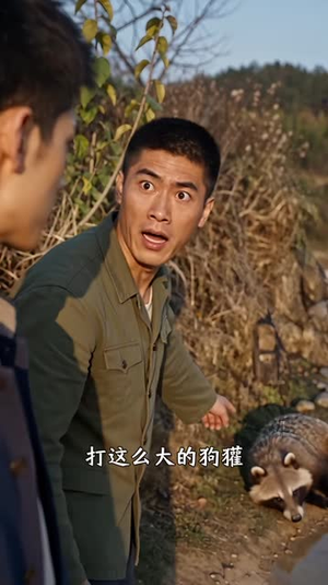重生七零_锅锅打猎护家第三季(229集) 重生七零_锅锅打猎护家第三季(229集)在哪个平台能看