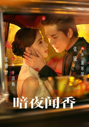 暗夜闻香（69 集）全网独播免费看