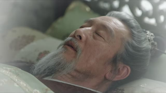 魏家逆子成首辅第九季：始计篇（下）（101-352集）直接看到大结局