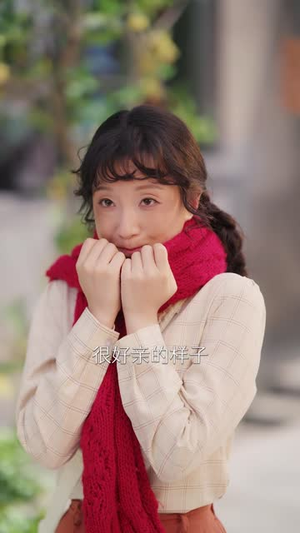 穿成杀猪女，国宴大厨爽翻七零（81 集）高清画质免费看