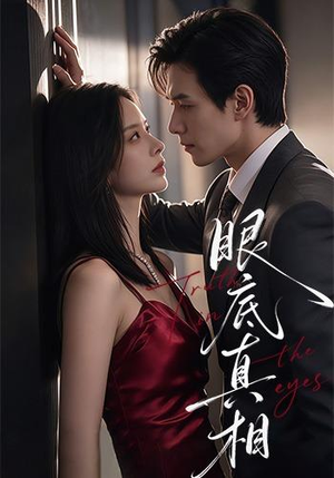 眼底真相（61 集）热门短剧推广