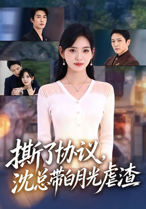 撕了协议，沈总带白月光虐渣（42 集）直接追到结尾