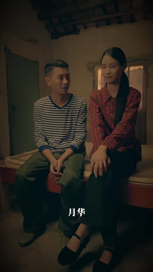 南珠密码（60 集）热播短剧追不停