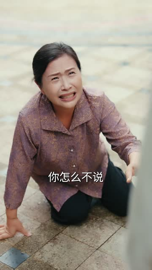 婆婆给老公做了一顿饭，我选择独美（81 集）在哪个平台看