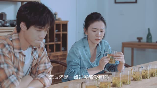我在霍山当茶倌(22 集) 我在霍山当茶倌(22 集)独家内容免费看