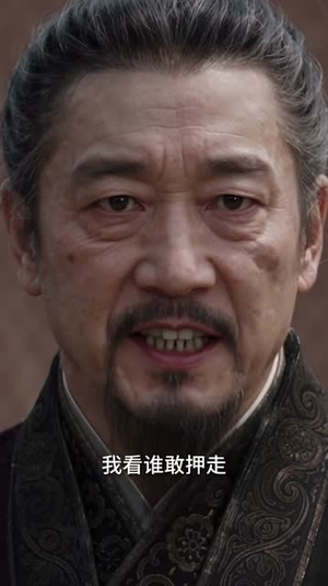 垫底皇子,反而成为千古一帝6(122集) 垫底皇子,反而成为千古一帝6(122集)看过的人都说好