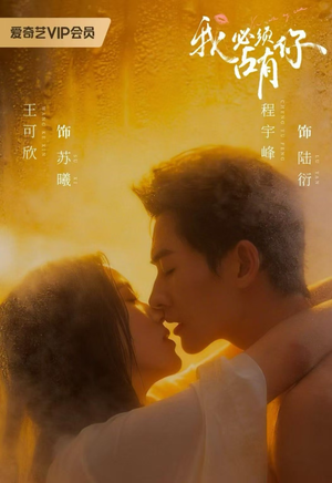 我必须占有你（63 集）免费观看完整版