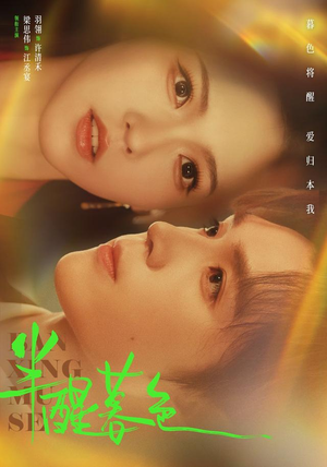 半醒暮色（77 集）口碑之选免费看